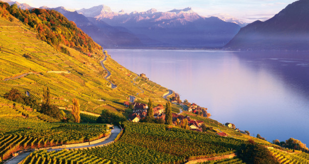 Die wohl schönste Weinregion der Welt.