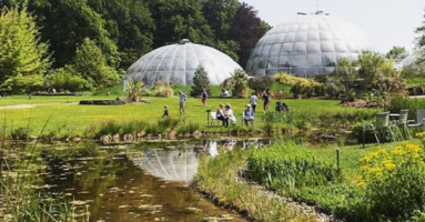 Botanischer_Garten