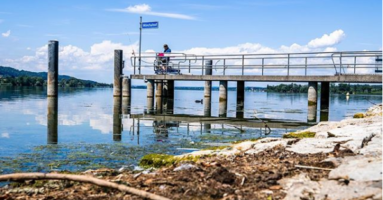 trockener_Greifensee
