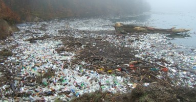 Plastikmuell