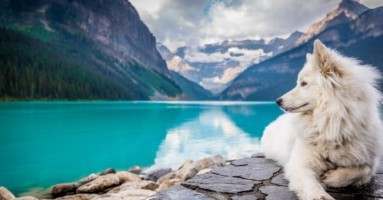 jf-brou-358069-unsplash