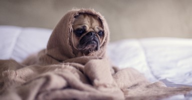 matthew-henry-58760-unsplash