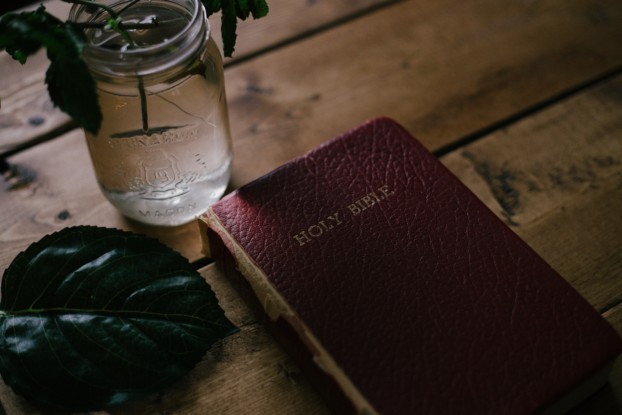 vie unsplash