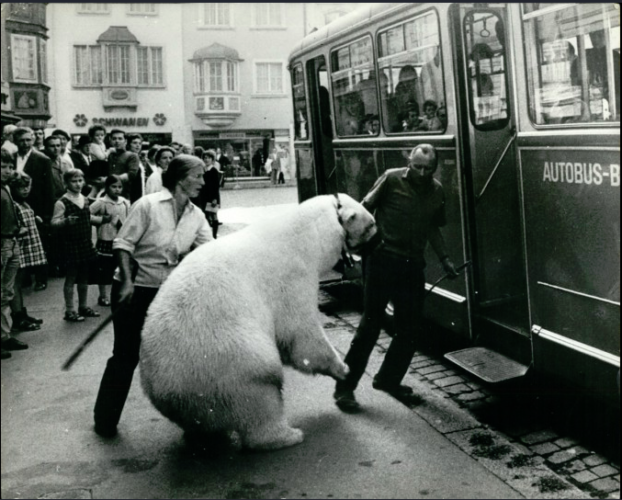 1968