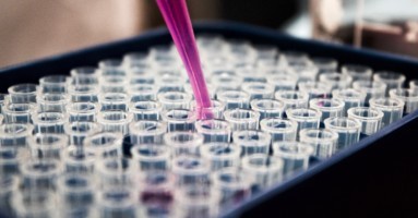 louis-reed-747388-unsplash