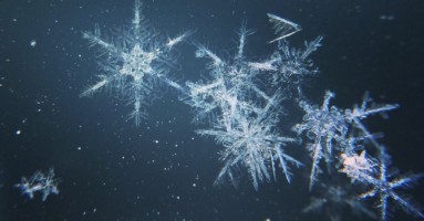 marc-newberry-1171856-unsplash